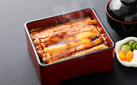 飯田商店 国産活〆 プレミアム 煮穴子 250g（ 250g×1袋 ） タレ付 魚介 魚介類 鮮魚 海鮮 魚 お魚 煮込み あなご 穴子 煮穴子 おかず 惣菜 