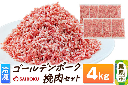 肉 豚 【冷凍】ゴールデンポーク 挽肉 4kg セット 257016U