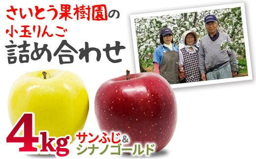 
            予約受付！【2024年12月上旬発送予定】さいとう果樹園の小玉りんご詰め合わせ　約4kg 岩手県 北上市 産地直売所 あぐり夢 くちない B0234 リンゴ セット シナノゴールド さんふじ フジ 国産 国内産 東北 赤 黄色
          