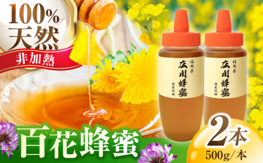 【★先行予約★ 8月下旬より発送】国産 広川蜂蜜 とんがり容器 1kg（500g×2本） 百花はちみつ はちみつ 蜂蜜 ハチミツ ハニー 純粋 ピュアハニー 天然 非加熱 国産 福岡 広川 百花蜂蜜 甘い スイーツ かの蜂 広川町 / 株式会社アルノ [AFBL001]