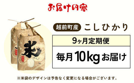 【新米・先行予約】定期便≪9ヶ月連続お届け≫ お米 こしひかり 10kg × 9回（計 90kg ）（精米）令和7年 福井県産 炊きたての美味しさを追求したお米【米 コメ kome 10キロ 9回 計