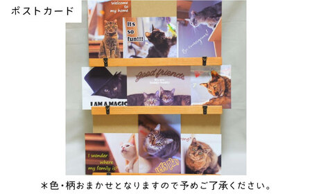 【保護猫応援!】グッズ3点セット ティッシュカバー・オリジナルポストカード・手作りアクリルたわし 猫 ねこ ネコ 保護 支援 動物愛護 大阪府高槻市/高槻ねこの会・ねこのおうち[AOBR009]
