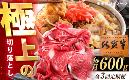 【3回定期便】佐賀牛 切り落とし 600g /MKミート武雄[UEM031]