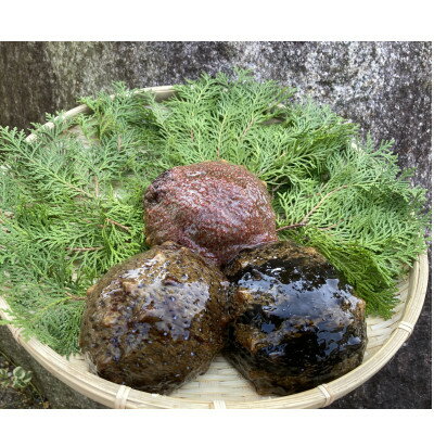 【ふるさと納税】防府市産天然赤なまこ1kg【配送不可地域：離島】【1687947】