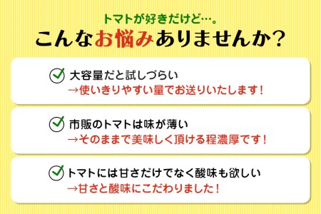 ＜2024年1月～出荷予定＞ 数量限定 先行予約 爆音トマトと呼ばれるフルーツトマト「百里百」 2kg 甘い 酸味 肉厚 大玉 産地直送 とまと 健康 リコピン 百里基地 戦闘機 国産 茨城県 小美玉