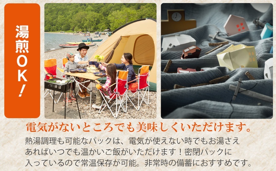 山形県産 はえぬきパックライス 180g × 48食セット