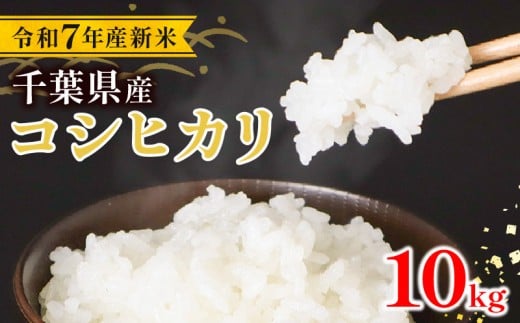 令和7年産 米 こしひかり 10kg コシヒカリ 新米 コメ お米 こめ 精米 白米 新米10kg 7年産 備蓄 防災 産地直送 送料無料  旭  千葉県 旭市 株式会社いてつ itt001