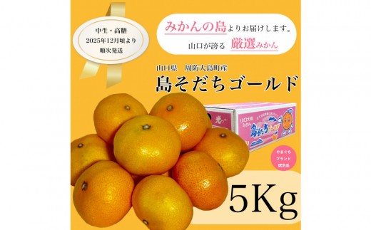
                  【やまぐちブランド認定品】2025年12月頃より順次発送!島そだちゴールド(中生・高糖) 5kg
                