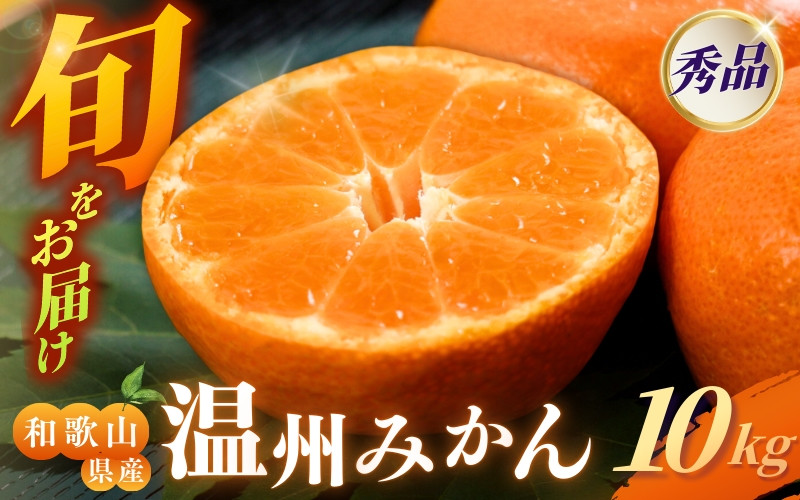 
                  [和歌山県産] 旬をお届け！ 季節の「 温州 みかん 」 10kg 秀品 (極早生・早生・中生・晩稲)【M~2Lサイズおまかせ】【2026年10月中旬～2027年2月下旬までに順次発送】＜味好農園＞/ みかん 蜜柑 柑橘 フルーツ 果物 極早生 早生 中生 晩稲 【agy004-p-10】
                
