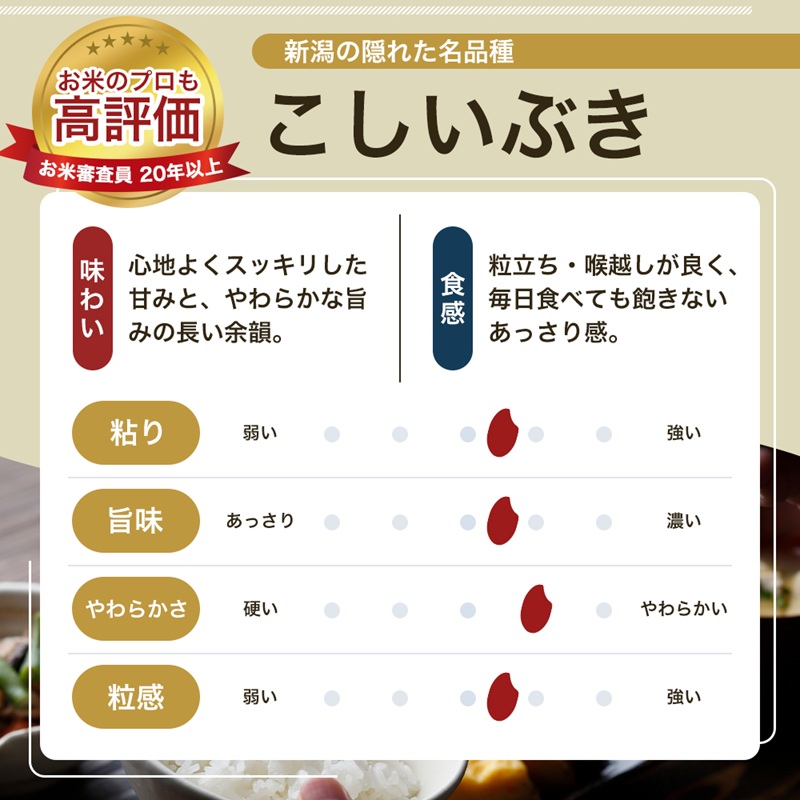 令和8年産 先行予約 新潟県 上越市産米 こしいぶき 10kg（5kg