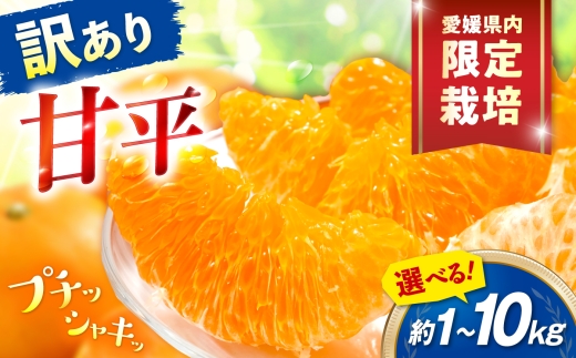 みかん 訳あり 甘平 サイズ不揃い 約1kg【1月上旬から2月下旬まで順次発送】/ フルーツ 果物 蜜柑 ミカン オレンジ 訳あり 訳アリ 小玉 甘い 先行予約 1kg 愛媛 / 愛媛県砥部町/えひめ農園組合 [BJAZ024]