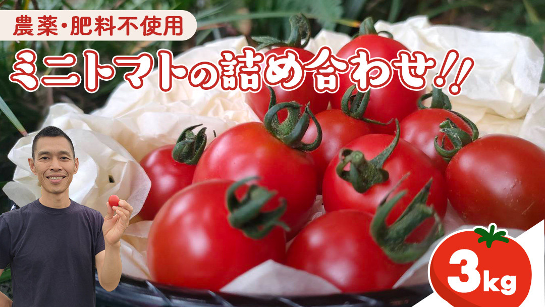 
            今夏お届け！ 農薬 ・ 肥料 不使用 ミニトマト の 詰め合わせ 3kg オーガニック ミニ トマト 有機栽培 健康 自然 肥料不使用 炭素循環農法 
          