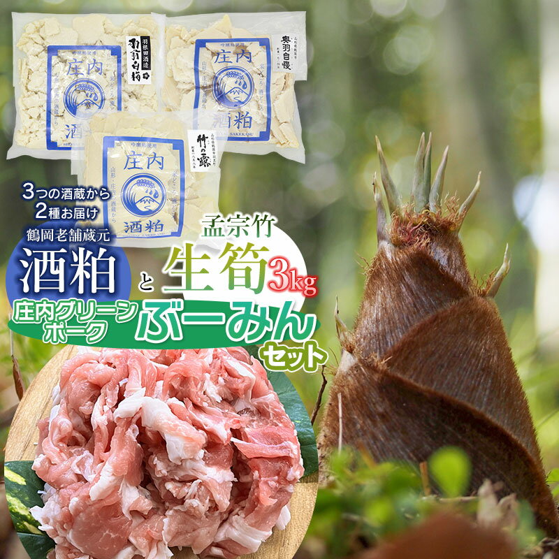 【ふるさと納税】【令和7年産先行予約】生筍（孟宗竹）3kgと鶴岡老舗蔵元の酒粕2種食べ比べ＆庄内グリーンポーク"ぶーみん"（豚小間切れ300g×2p）セット【発送時期：5月上旬〜】