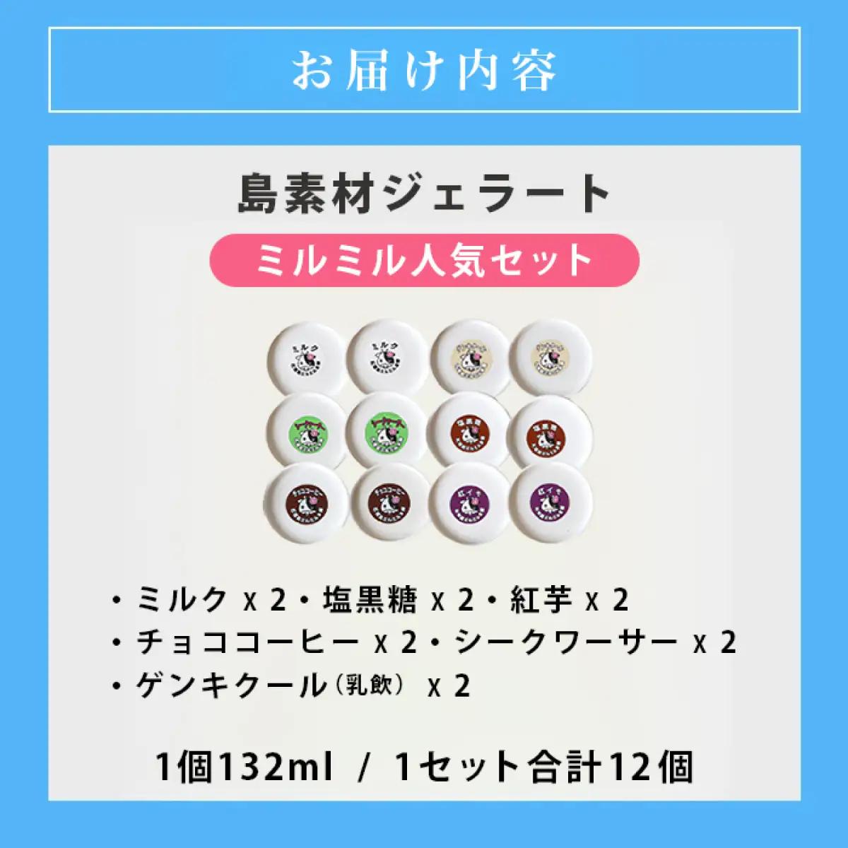 石垣島ミルミル本舗　ミルミル人気ジェラートセット（132ml×12個）
