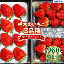 【ふるさと納税】いちごの贅沢！栃木の3品種食べ比べセット《12月より順次出荷》｜とちあいか とちおとめ スカイベリー いちご 苺 フルーツ 果物 産地直送 [0562]