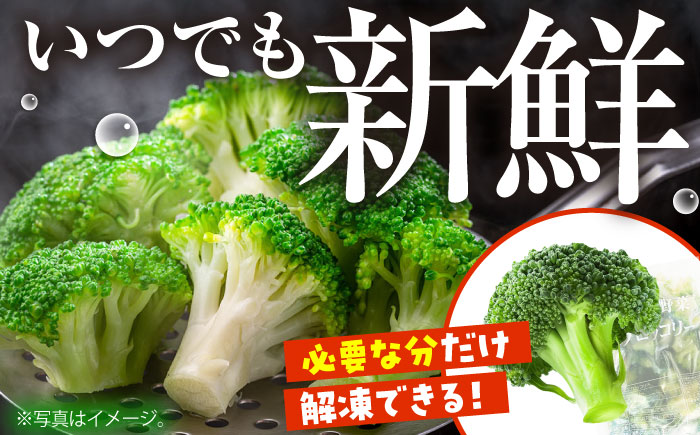 たっぷり 冷凍 ブロッコリー 4kg（1kg × 4袋） / 南島原市 / 池田海陸物産 [SEW008]