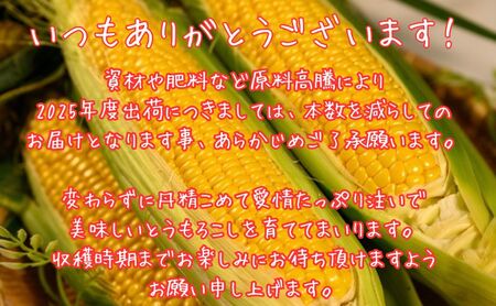 北海道産 とうもろこし 恵味 ゴールド 2L 8本 8月中旬～9月下旬頃お届け 朝採り 恵味 めぐみトウモロコシ スイート コーン 甘い 新鮮 先行受付 夏 野菜 産地直送 塩田農園 送料無料 北海道