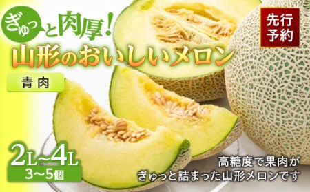 《先行予約 2025年度発送》ぎゅっと肉厚！山形のおいしいメロン【青肉】 青肉メロン メロン 青肉 デザート フルーツ 果物 くだもの 果実 食品 山形県 FSY-0118