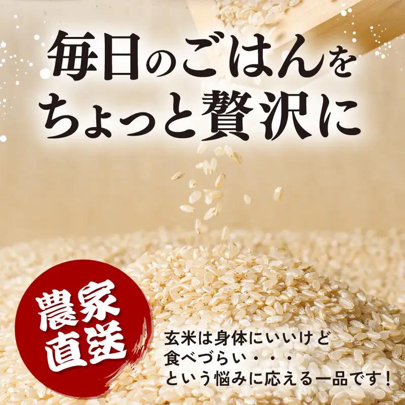 【先行予約】【令和8年産】 定期便 ≪3ヶ月連続お届け≫ にじのきらめき うまみ玄米 5kg×3回 ／ 鮮度抜群 15キロ 福井県あわら産 玄米 お米 ※2026年10月上旬より順次発送 [aw071