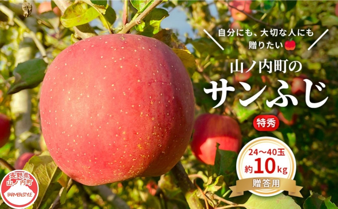 
                  【2026年12月発送】贈りたい味、笑顔届ける　 山ノ内育ちのりんご　サンふじ　贈答用　特秀10kg りんご 果物
                