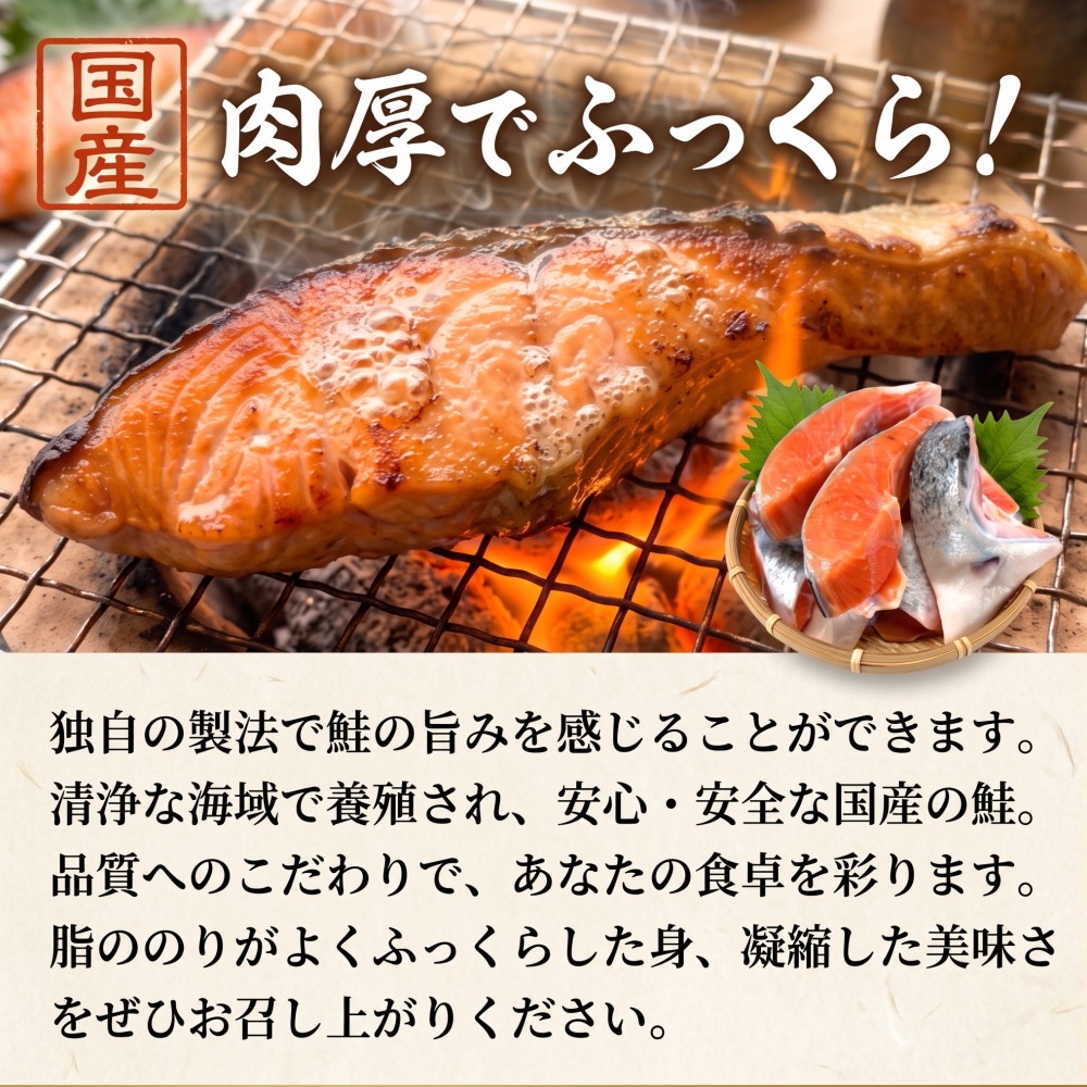 【訳あり】石巻産 冷凍 銀鮭 切身 3kg 国産 鮭 さけ 銀鮭 切身 魚介 魚介類 海鮮 塩鮭 訳あり 不揃い 魚 切り身 冷凍  3キロ 宮城県 石巻市