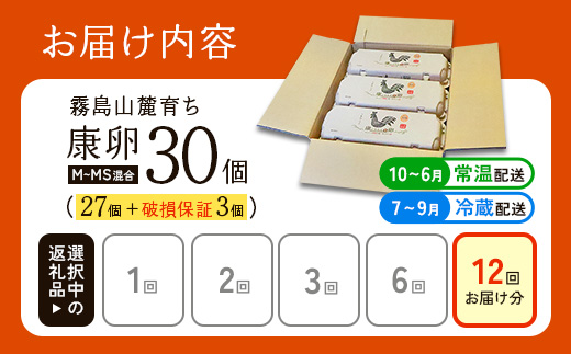 卵【12回定期便】霧島山麓育ち こだわり卵 康卵 計 30個（27個 + 割れ保証 3個）12回 計 360個（324個 + 割れ保証 36個）たまご 玉子 卵焼き 玉子焼き たまご焼き 生卵 鶏卵 たまごかけごはん 国産 九州産 宮崎県産 送料無料