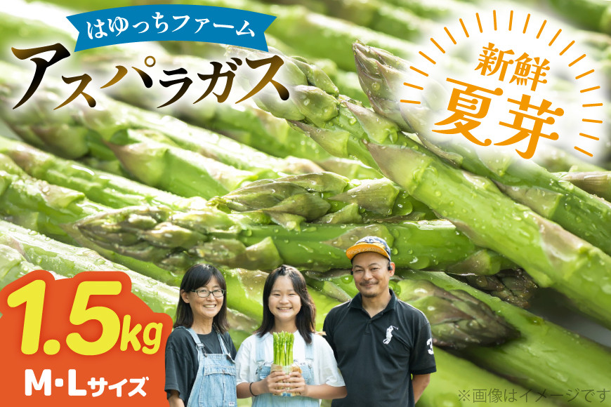 
                  アスパラ アスパラガス 夏芽アスパラガス 1.5kg M L サイズ混合 [はゆっちFARM 長崎県 東彼杵町 hs42bag360005] アスパラ あすぱら 新鮮 夏
                