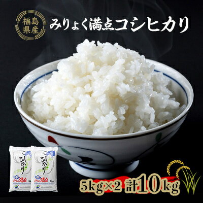 【ふるさと納税】満点コシヒカリ　10kg(5kg×2)【1017726】