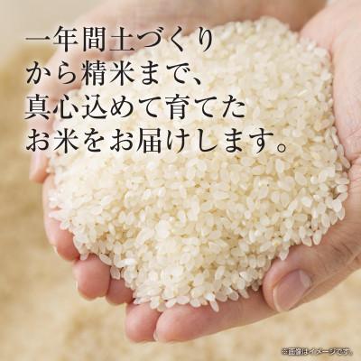 ふるさと納税 十日町市 無洗米 令和6年産 魚沼産 コシヒカリ 5kg (お米の美味しい炊き方ガイド付き) |  | 03