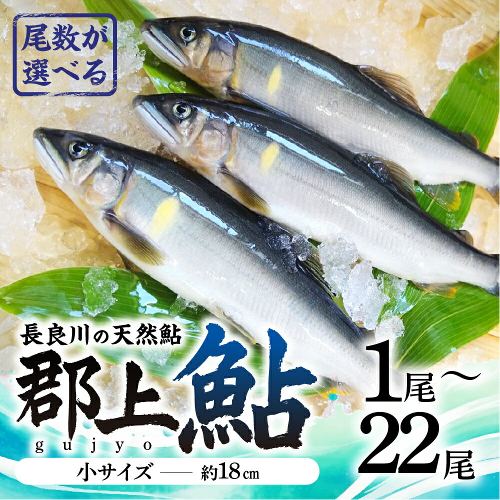 【ふるさと納税】【尾数が選べる】郡上鮎 長良川の天然鮎 小サイズ(約18cm) 1尾～22尾 / 食品 魚介類 水産加工品 その他水産物 鮎 アユ 5000円 10000円 15000円 20000円 30000円