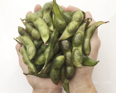 川北黒大豆枝豆・丹波黒煮豆のセット（枝豆3袋・煮豆3袋） [BT34]