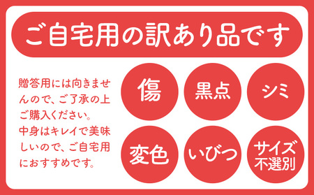【先行予約】スイカ 訳あり 小玉すいか 2玉 約 2kg ～ 3kg M ～ 3L 混合 株式会社Foody’s 食彩たかみ 《2027年5月下旬-7月下旬頃出荷》 熊本県 菊池市 フルーツ 果物 ス