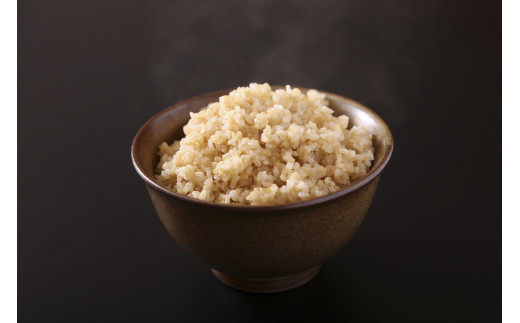 佐賀県産ゆめしずく（特A） 玄米5kg×3回定期便 999-B827_イメージ4