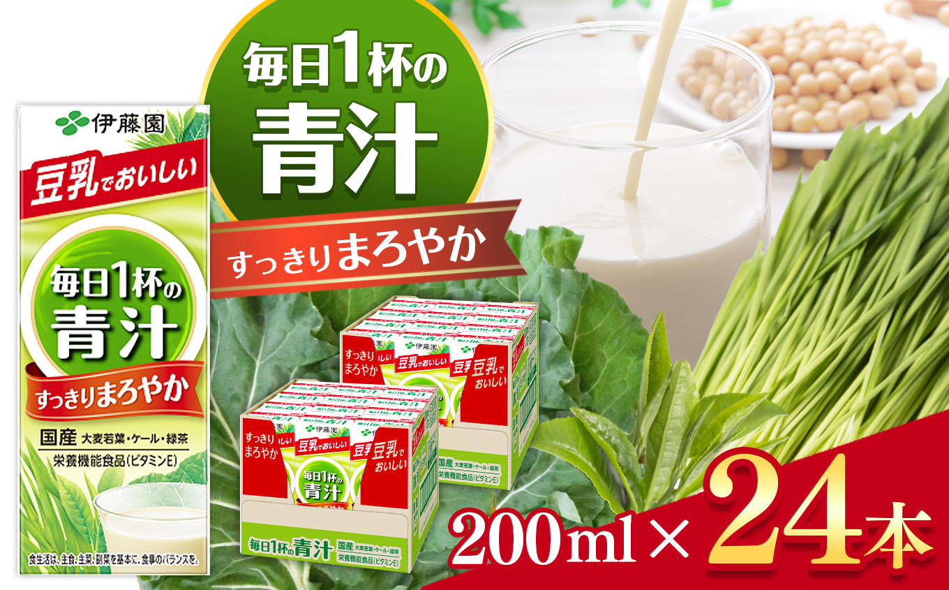 
【定期便12回】紙毎日１杯の青汁すっきりまろやか豆乳ミックス200ml　24本入り 伊藤園 | 青汁 豆乳 ジュース ドリンク 飲料 健康 食品 長期常温可能 1ケース 長野県 松本市 ふるさと納税
