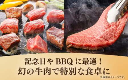 葉山牛 500g　サーロインステーキ ／ サーロイン [ASBD008]