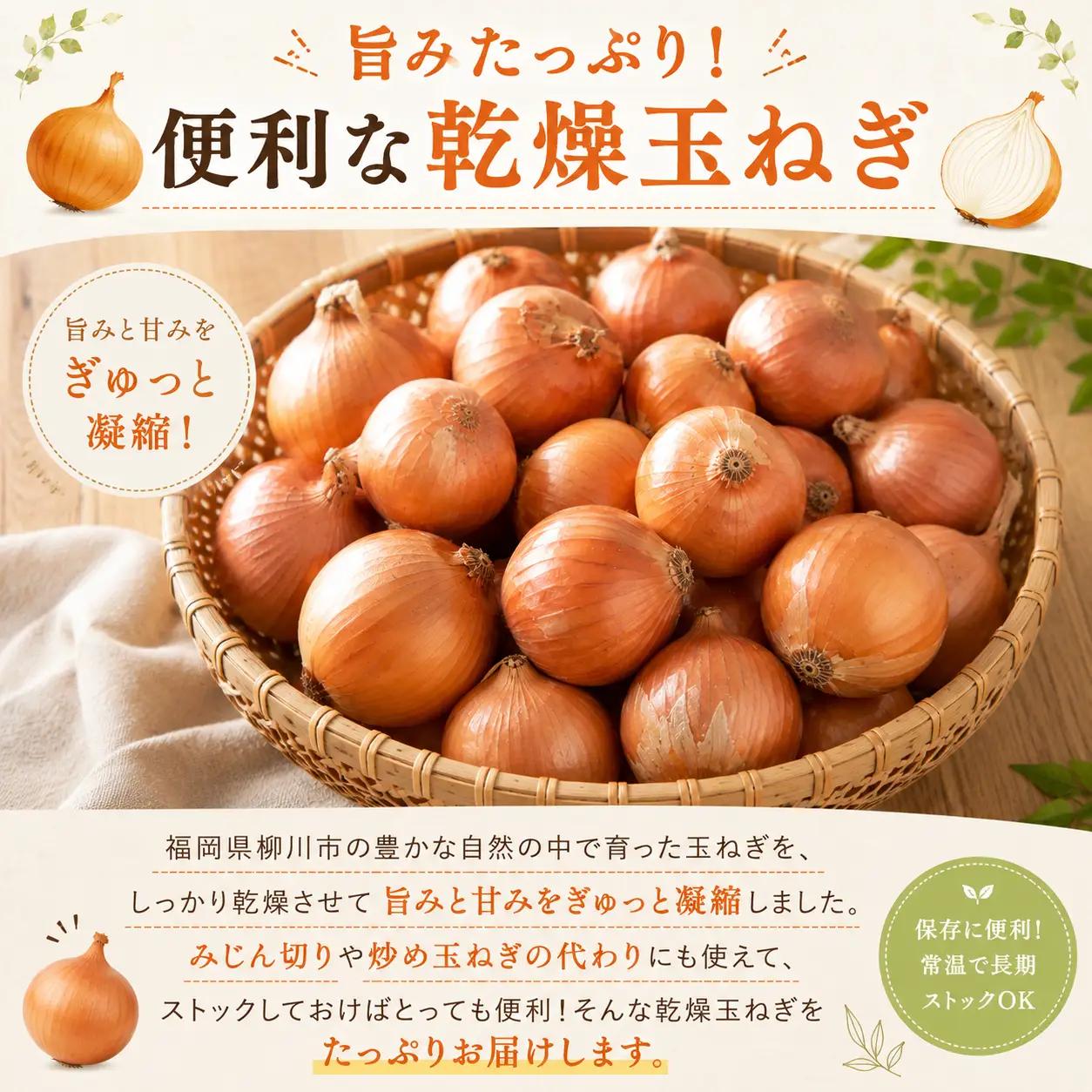 【先行予約】玉ねぎ 10kg | 玉ねぎ