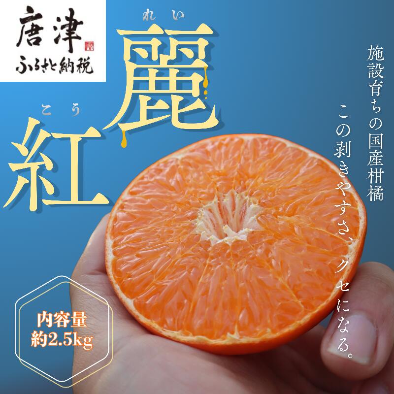 【ふるさと納税】『予約受付』【令和9年1月下旬より順次発送】農家直送！施設育ちの希少柑橘 麗紅(箱込み2.5kg) みかん ミカン 蜜柑 柑橘 ハウス栽培