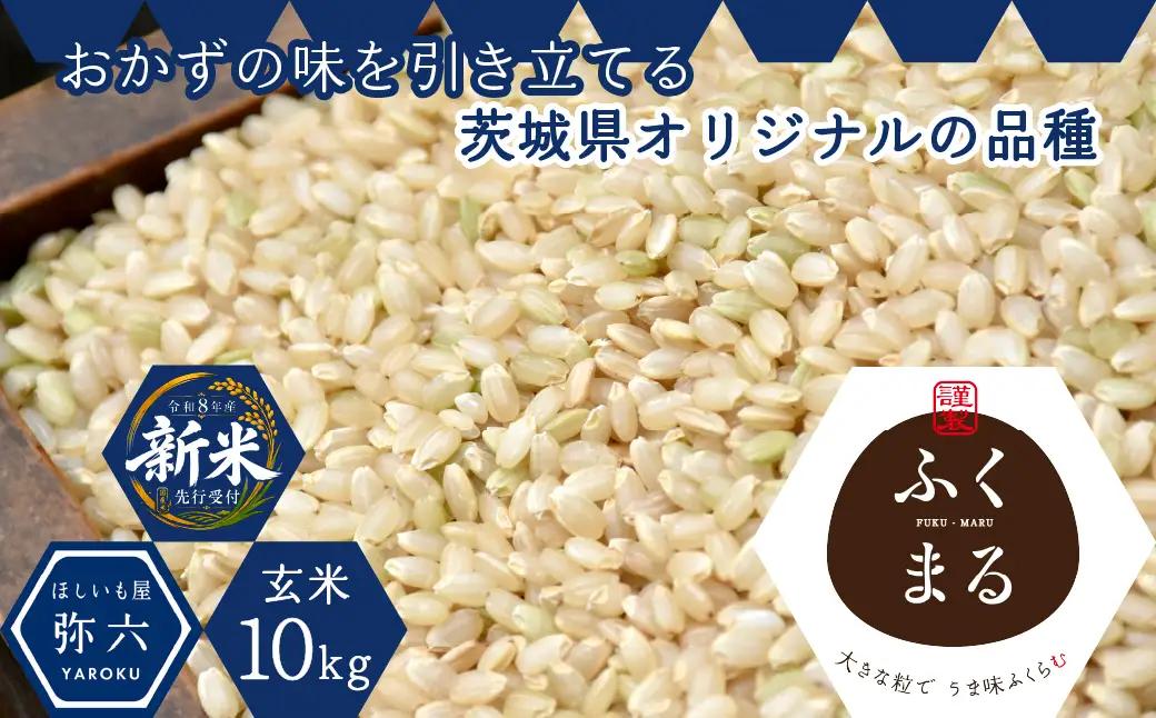 令和8年度米 ふくまる 玄米 10kg 農家直送 | 新米 令和8年 先行受付 期間限定 