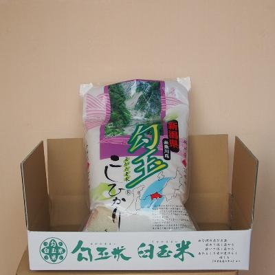 ふるさと納税 糸魚川市 令和6年産  勾玉米こしひかり  精米5kg |  | 03