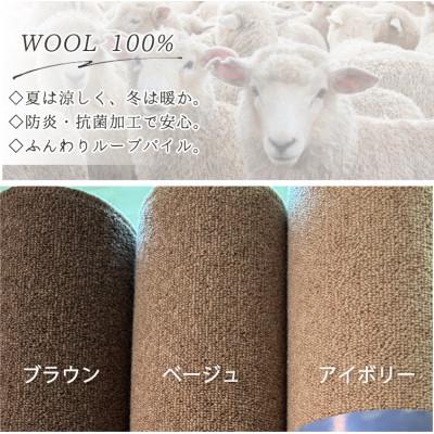 ふるさと納税 和泉市 【江戸間10畳】ふんわりウール100%カーペット アイボリー(W-3000 江戸間10畳IV) |  | 02
