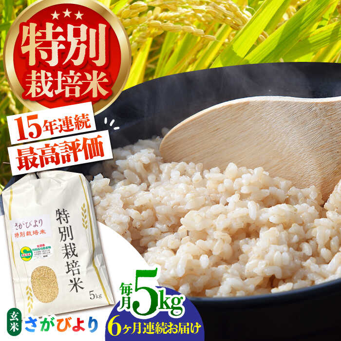 【ふるさと納税】【全6回定期便】特別栽培米「さがびより」玄米 5kg 【だいちの家】特A米 特A評価[HAG029]