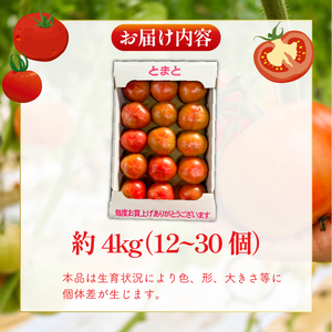 トマト 約4kg(12～30個) 京都府産 トマト