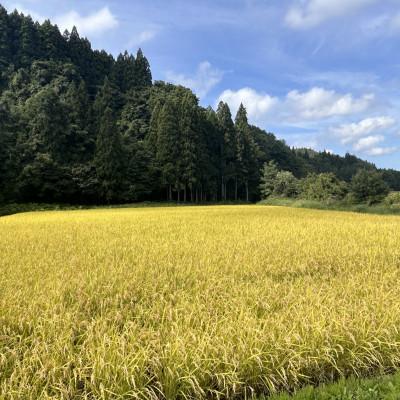 ふるさと納税 十和田市 【令和7年産】青森県産 まっしぐら 玄米 5kg |  | 01
