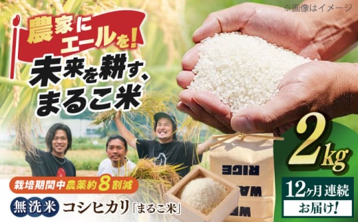 【全12回定期便】無洗米 コシヒカリ 滋賀県西浅井町産「まるこ米」2kg　滋賀県長浜市/ONE SLASH 株式会社[AQCZ015]  米 お米 白米 無洗米 こしひかり 2kg 地域 応援 定期便