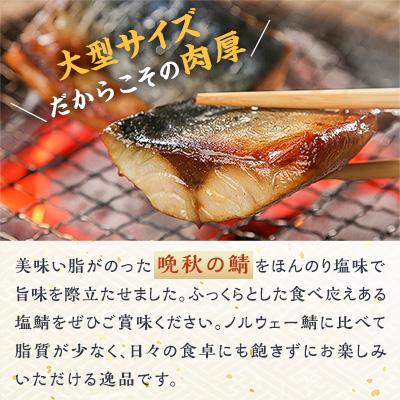 ふるさと納税 八雲町 北海道産　無添加　塩鯖　合計18切(2切×9パック)大型サイズ塩サバ　使いやすい小分け　カット品 |  | 02