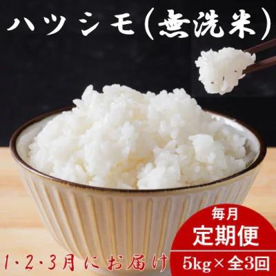 ふるさと納税 羽島市 【発送月固定定期便】生産者応援!岐阜県産ハツシモ(無洗米)5kg【1・2・3月発送】全3回