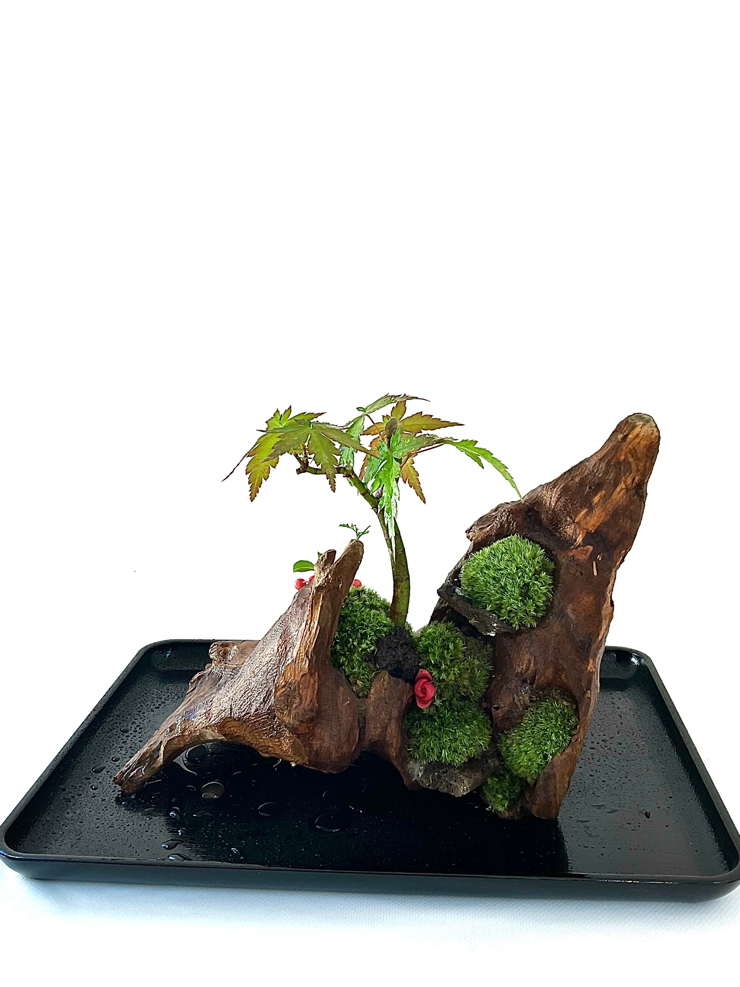 盆景流木山水画