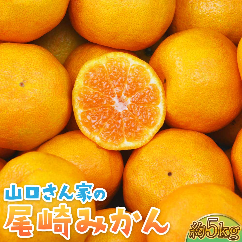 【ふるさと納税】【先行予約】山口さん家の尾崎みかん 約5kg S・M・L混合サイズ 尾崎みかん おざきみかん みかん ミカン 蜜柑 5kg くだもの フルーツ 果物 宇城市産 熊本県産 九州産 国産 送料無料 【2025年12月上旬から12月下旬発送予定】