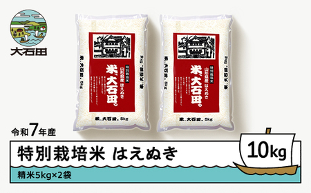 新米 米 令和7年産 【2026年2月下旬発送】 米 はえぬき 10kg 大石田町産 特別栽培米 精米 ※沖縄・離島への配送不可 ja-hasxa10-2s