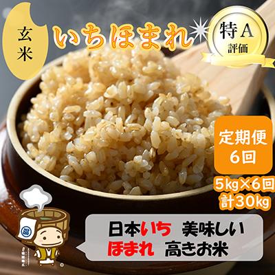 ふるさと納税 あわら市 【毎月定期便】いちほまれ 玄米 5kg全6回